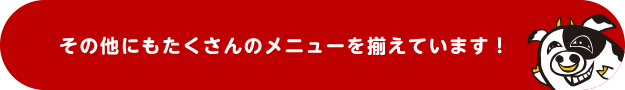 その他にもたくさんのメニューそ揃えています